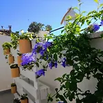 Porta Girone Bed & Breakfast Civitanova Alta